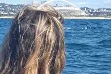 Dolphin Watching Tours