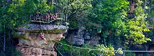 Canopy Tours