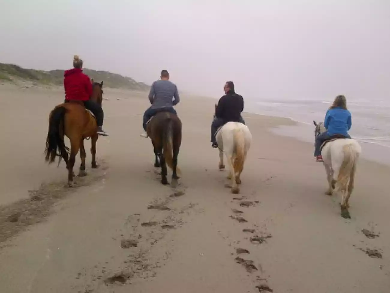 Beach Horse Rides on the West Coast