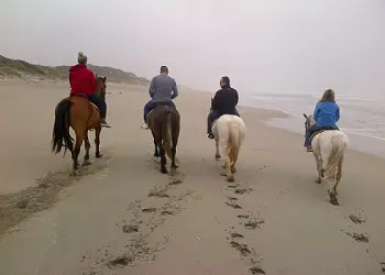 Beach Horse Rides