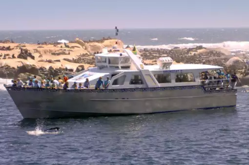 Drumbeat Charters - Boat Trips