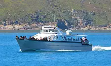 Boat Trips