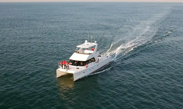 Hakuna Matata Charters - Boat Trips