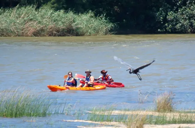 Kayaking