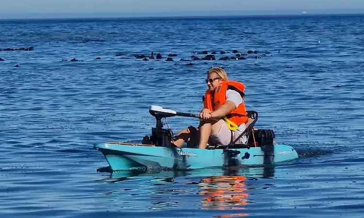 E-Kayaking Adventures 3