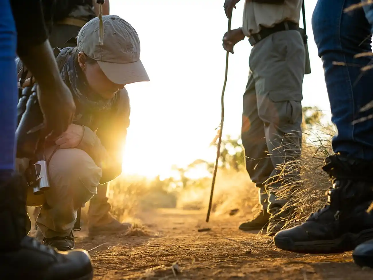Field Guide & Nature Training in Limpopo