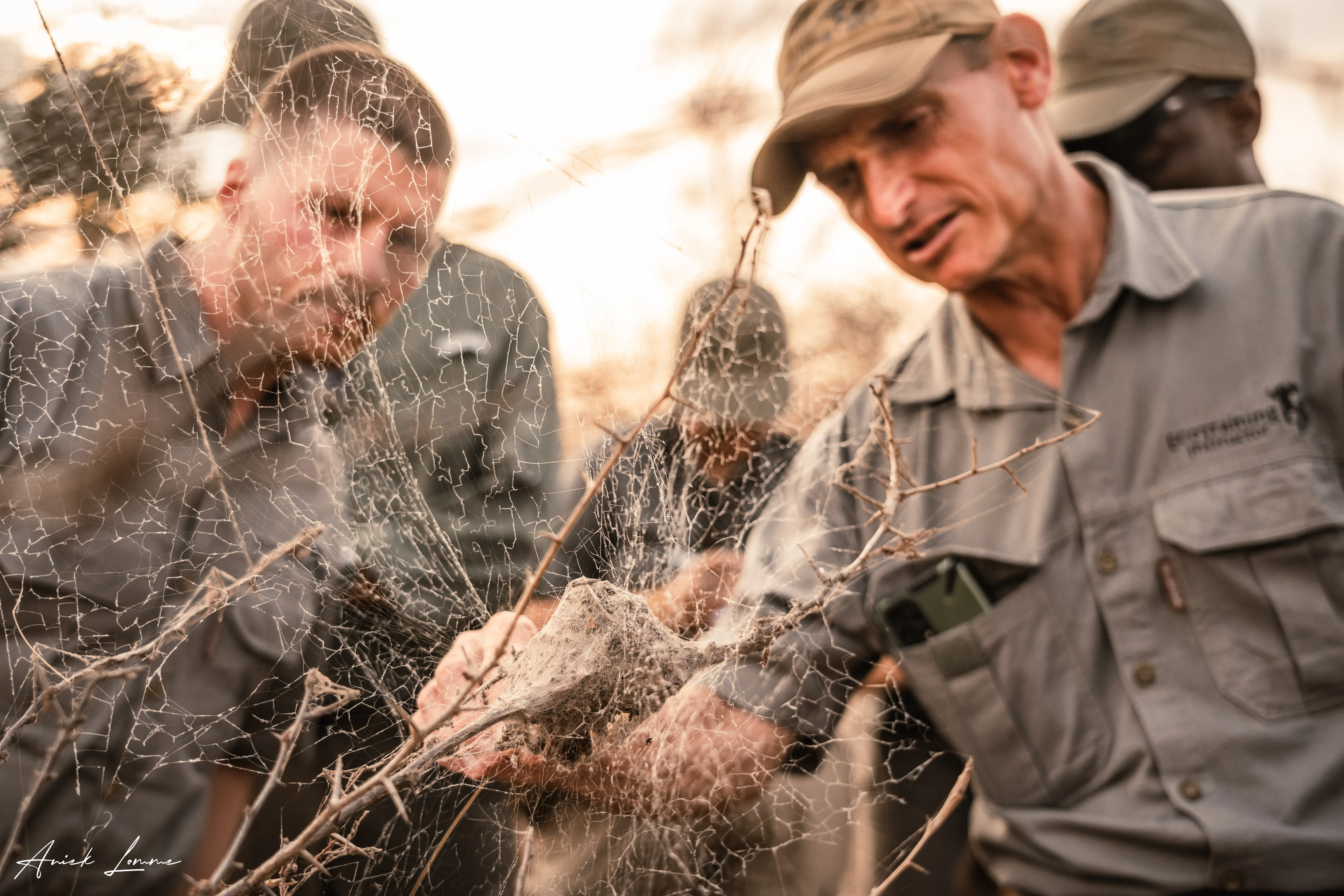 Learn to be a Professional Field Guide with Eco Training