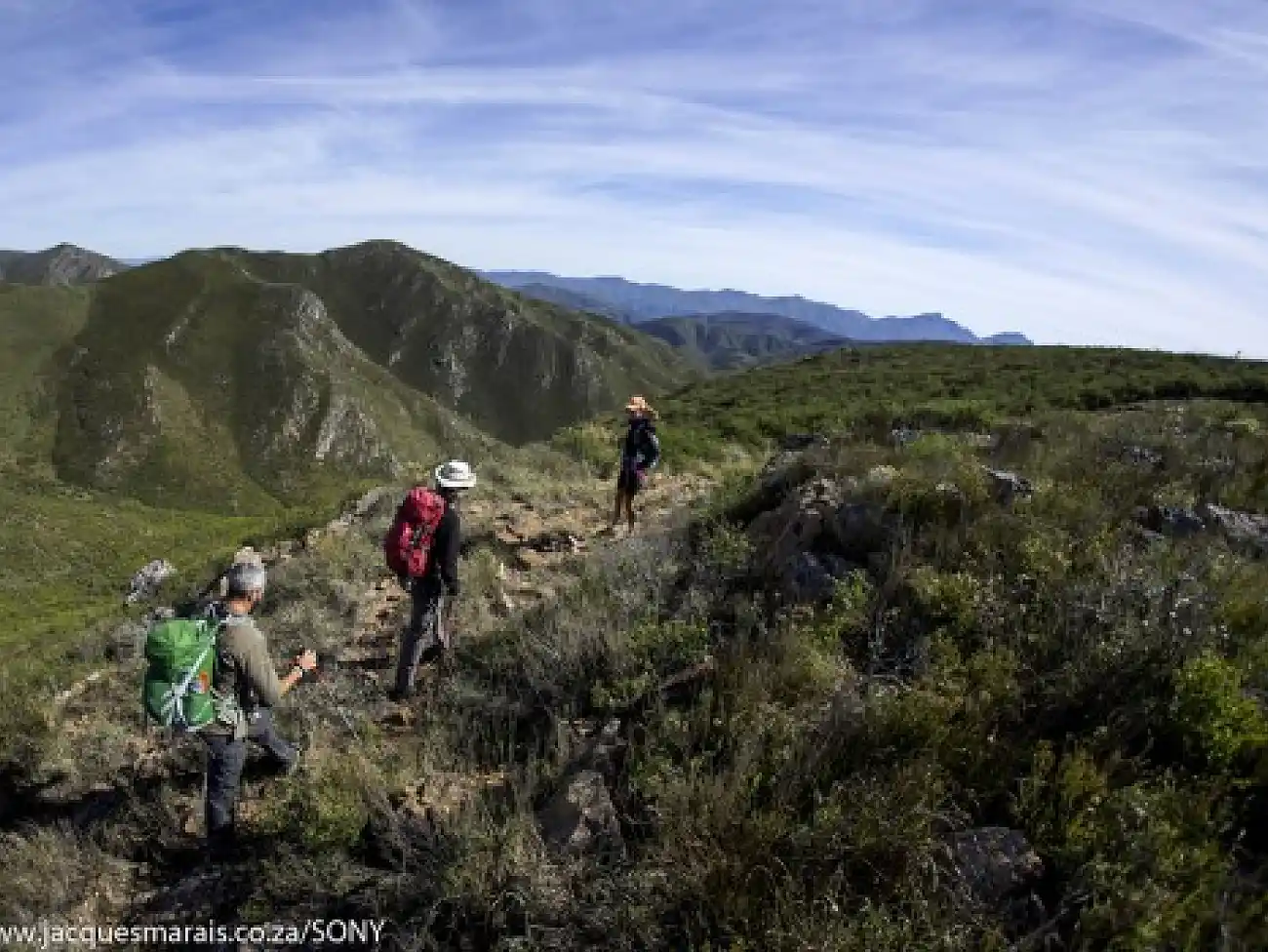 Hiking in the Tsitsikamma National Park