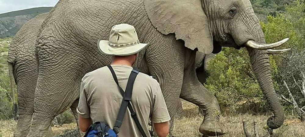 Addo Elephant Lodge - Elephant Experience