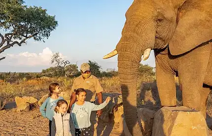 Jabulani Safaris - Elephant Experience