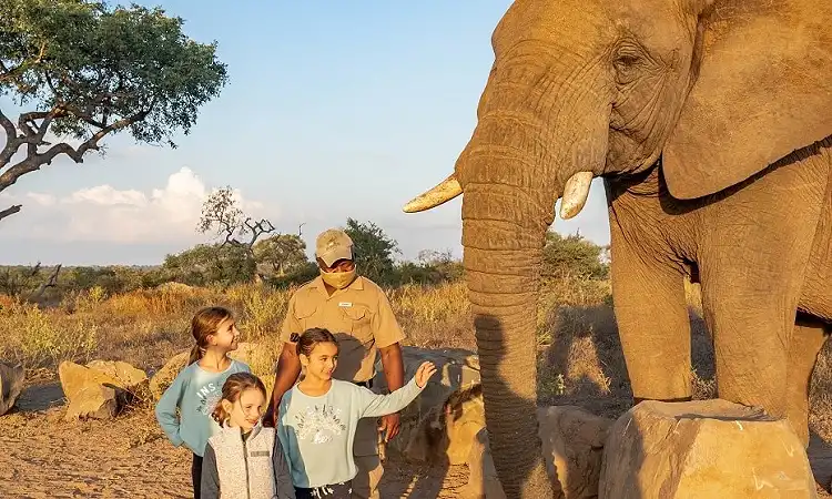 Jabulani Safaris - Elephant Experience