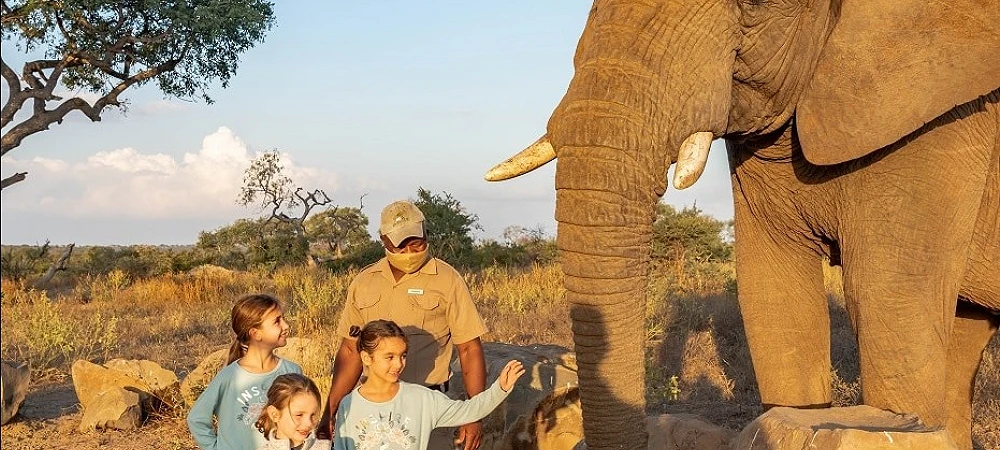 Jabulani Safaris - Elephant Experience