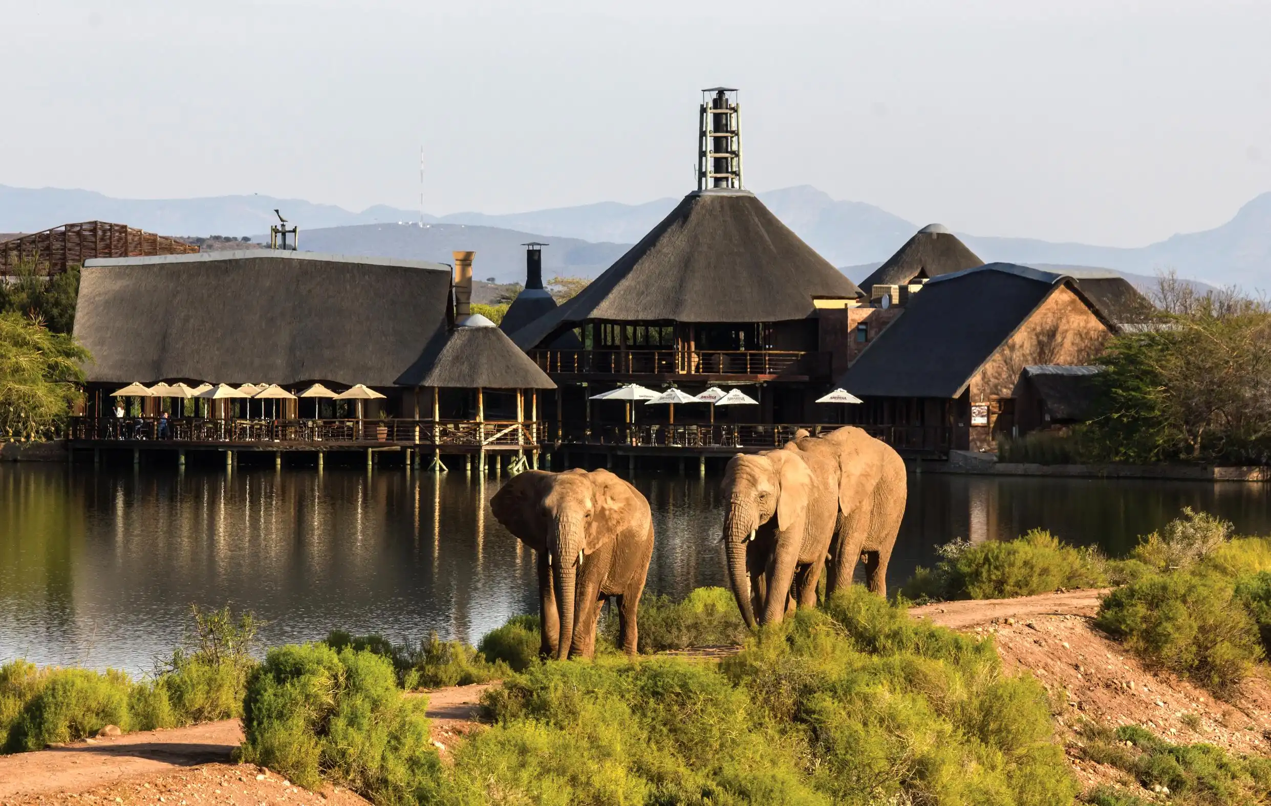 Elephant Experience