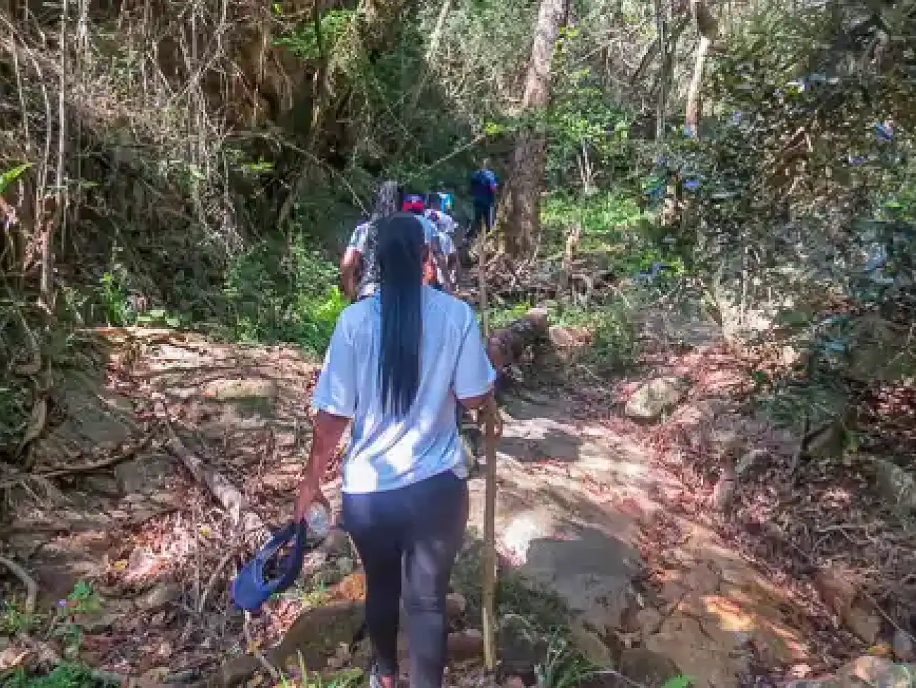 Guided Hiking in the Sabie River Valley