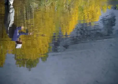 Fly Fishing