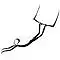 Flying Trapeze
