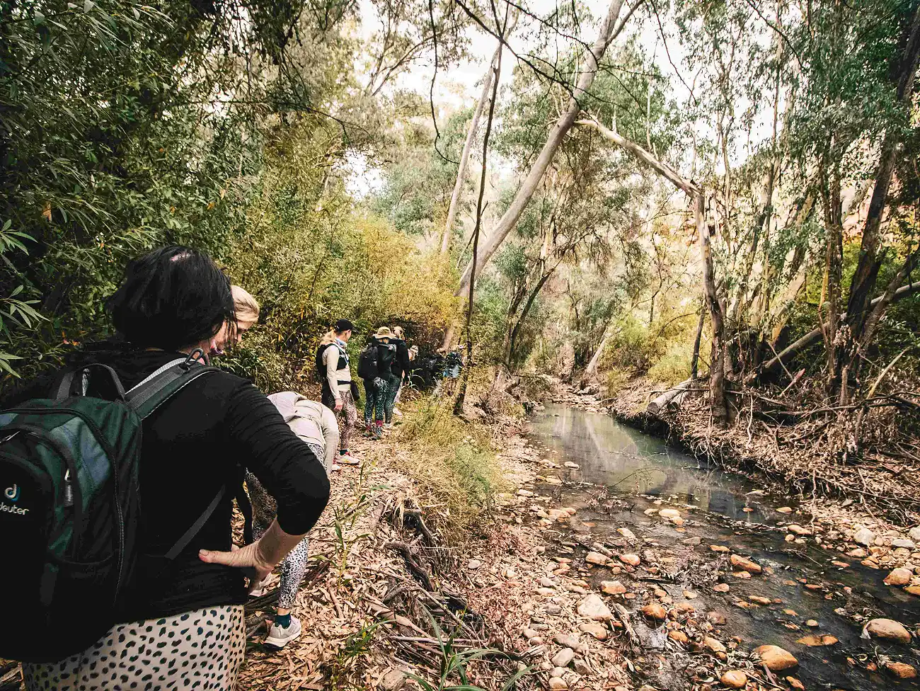 Wine Walks in the Breede River Valley
