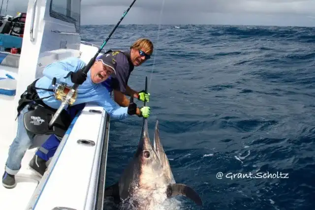 Game Fishing