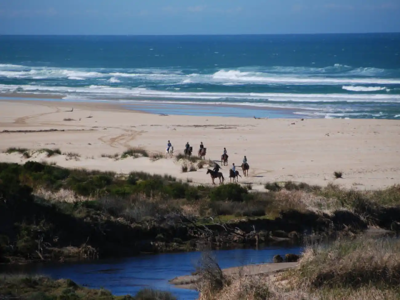 Beach Horse Rides on the Garden Route