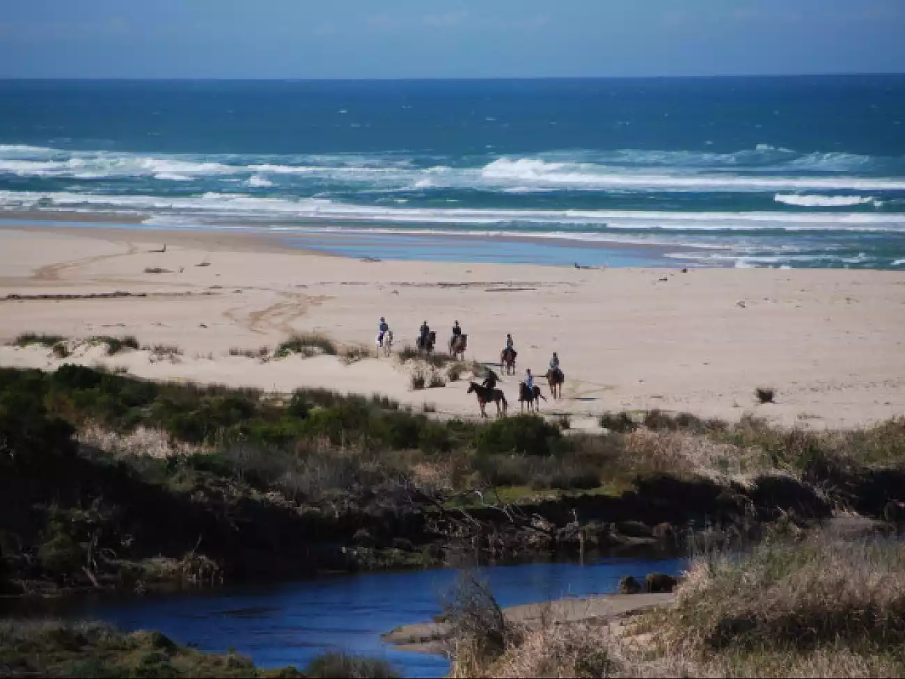 Beach Horse Rides on the Garden Route