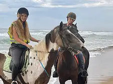 Beach Horse Rides
