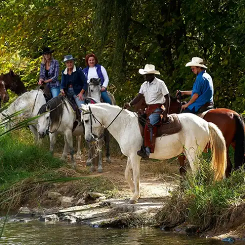 Horse Safaris
