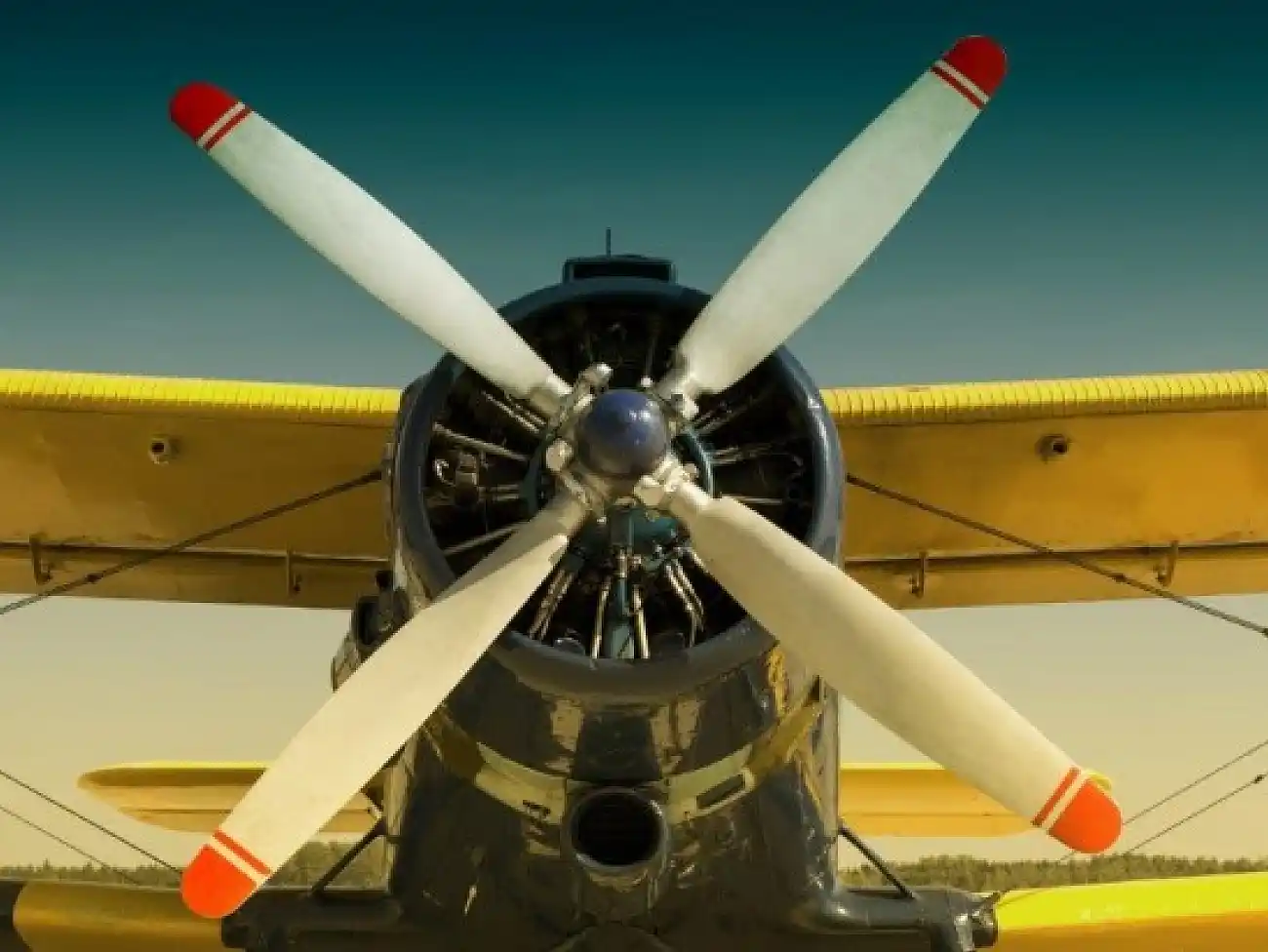 Aerobatic Flights in Gauteng 