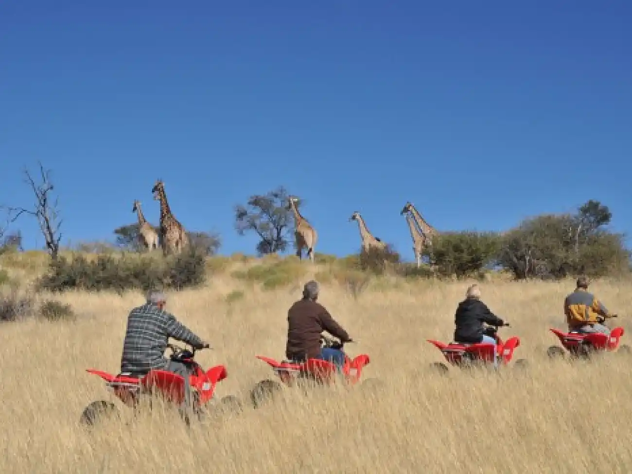 Quad Biking in Gauteng 