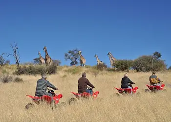 Quad Biking