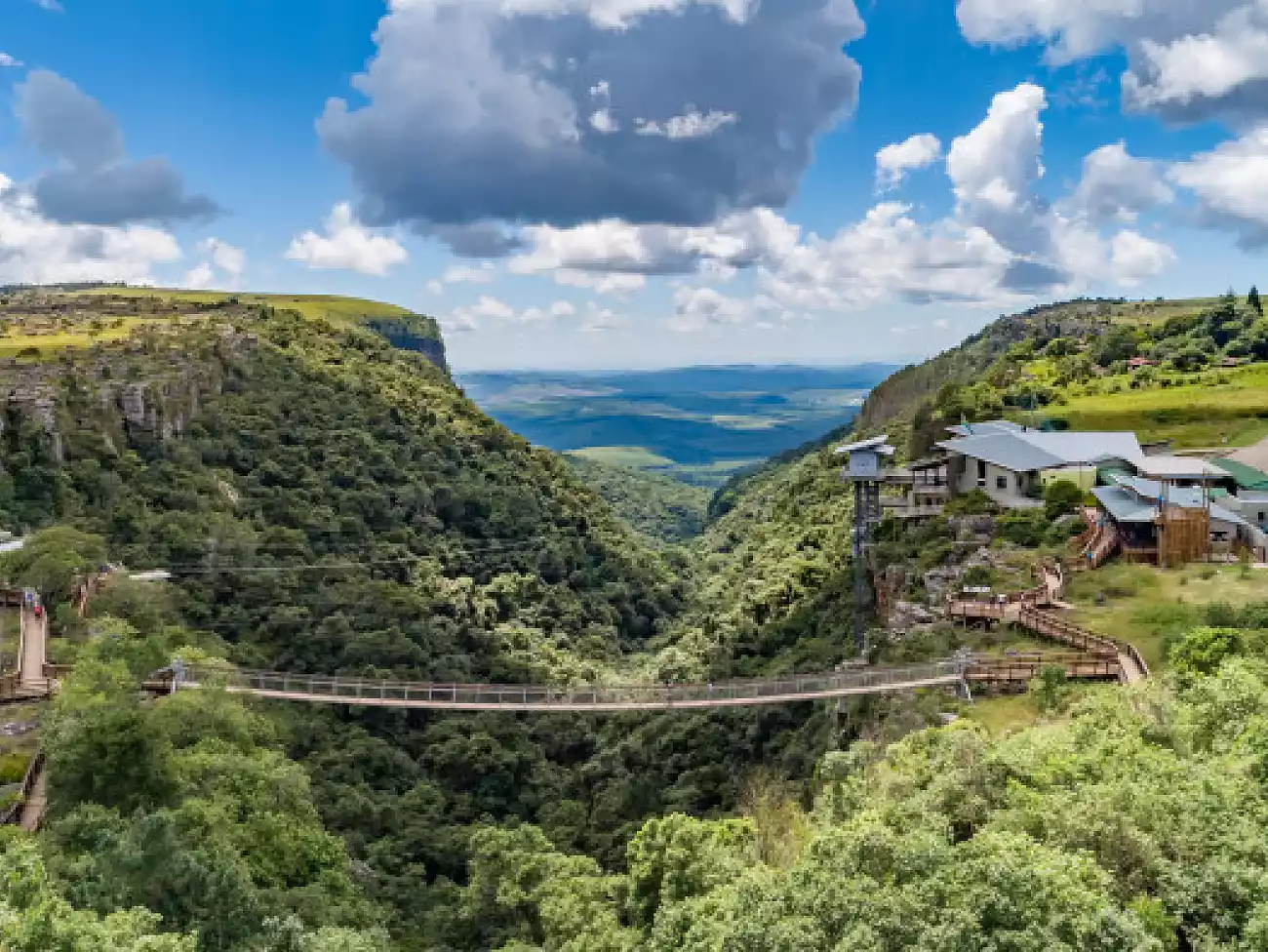 Bridge Walk in Graskop