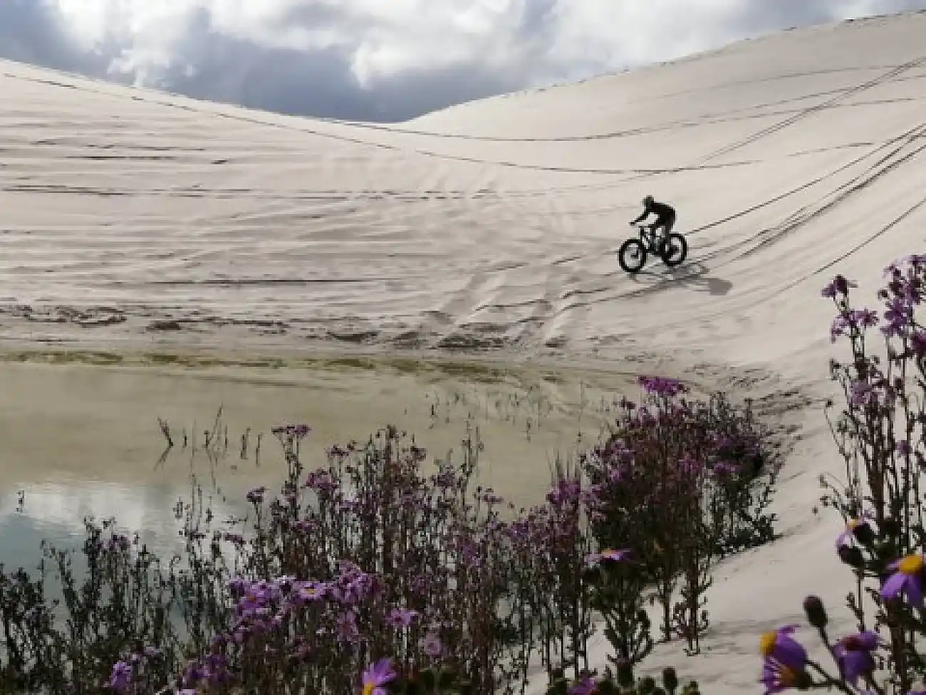 Fatbike Tours in Walker Bay