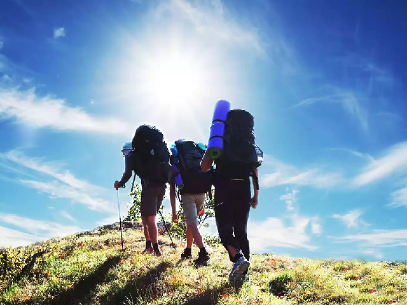 Guided Hiking in the Magaliesberg