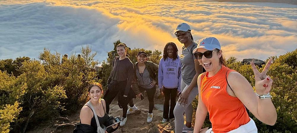 Wild Treasure Hiking - Lions Head