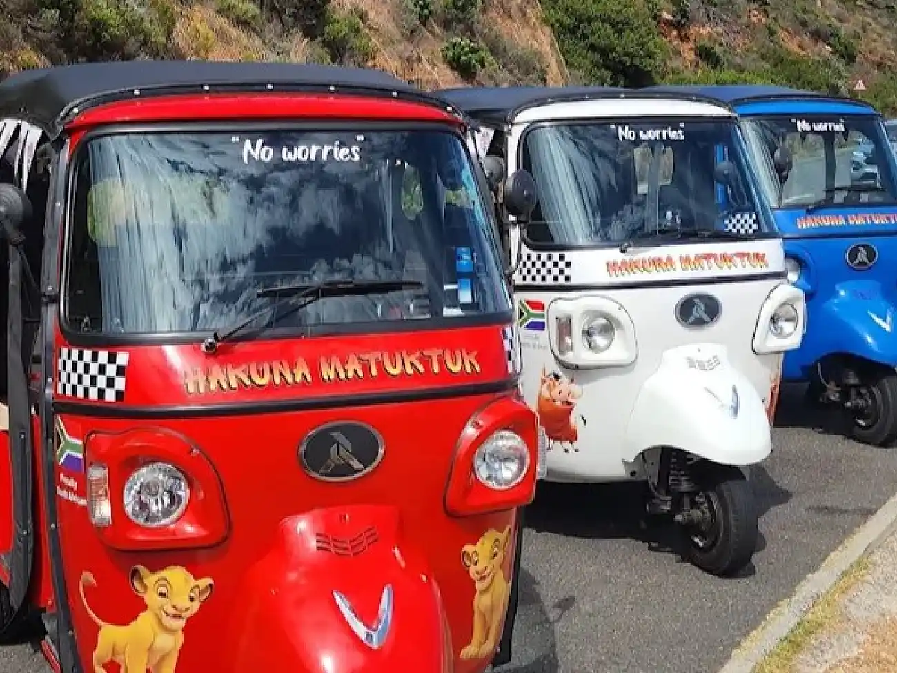 Unique Driving Experiences in the Cape Peninsula