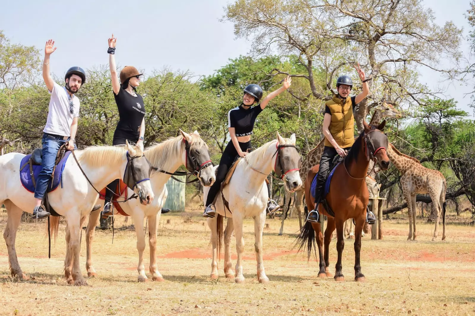 Horse Safaris