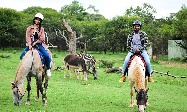 Harties Horse Trail Safaris