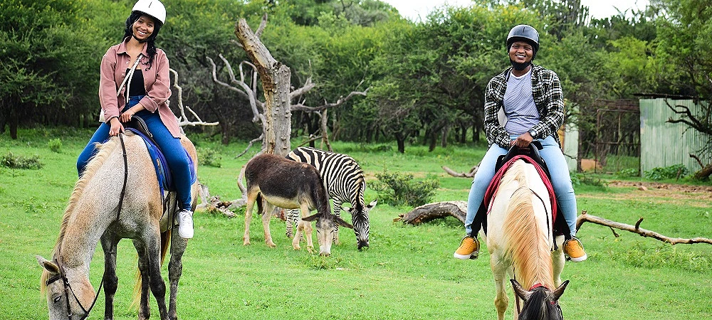 Harties Horse Trail Safaris