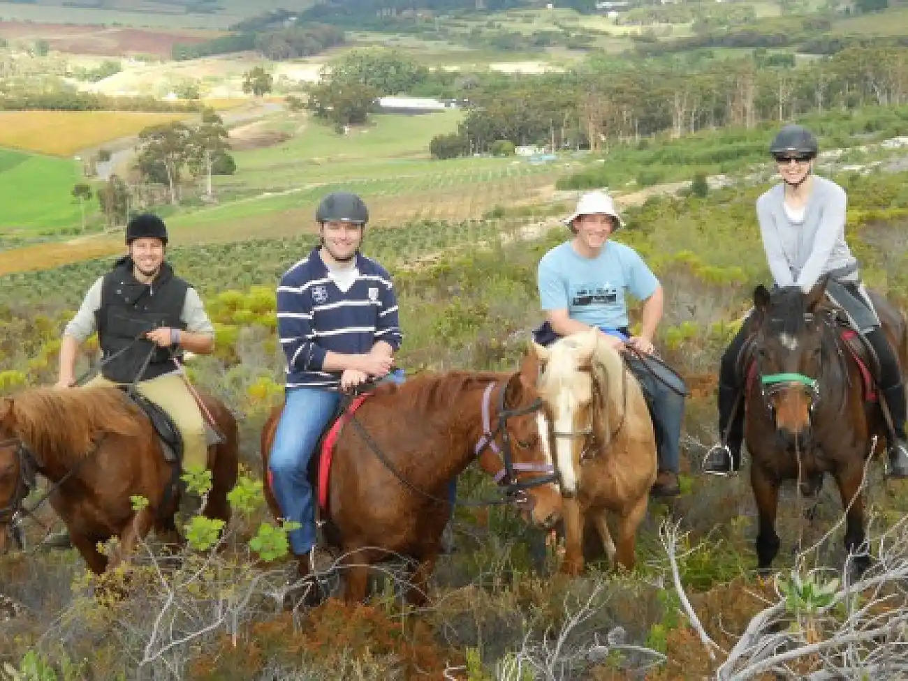 Horse Riding in the Overberg 