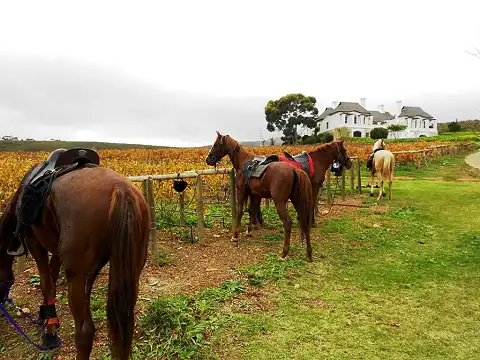 Heaven and Earth Trails Horse Riding