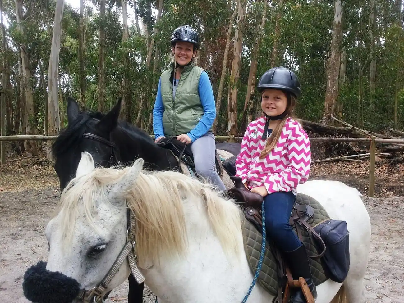 Horse Riding in Hemel en Aarde Valley