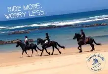 Horse Riding