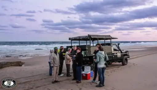 Heritage Tours - Turtle Tours
