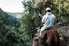 Horse Riding
