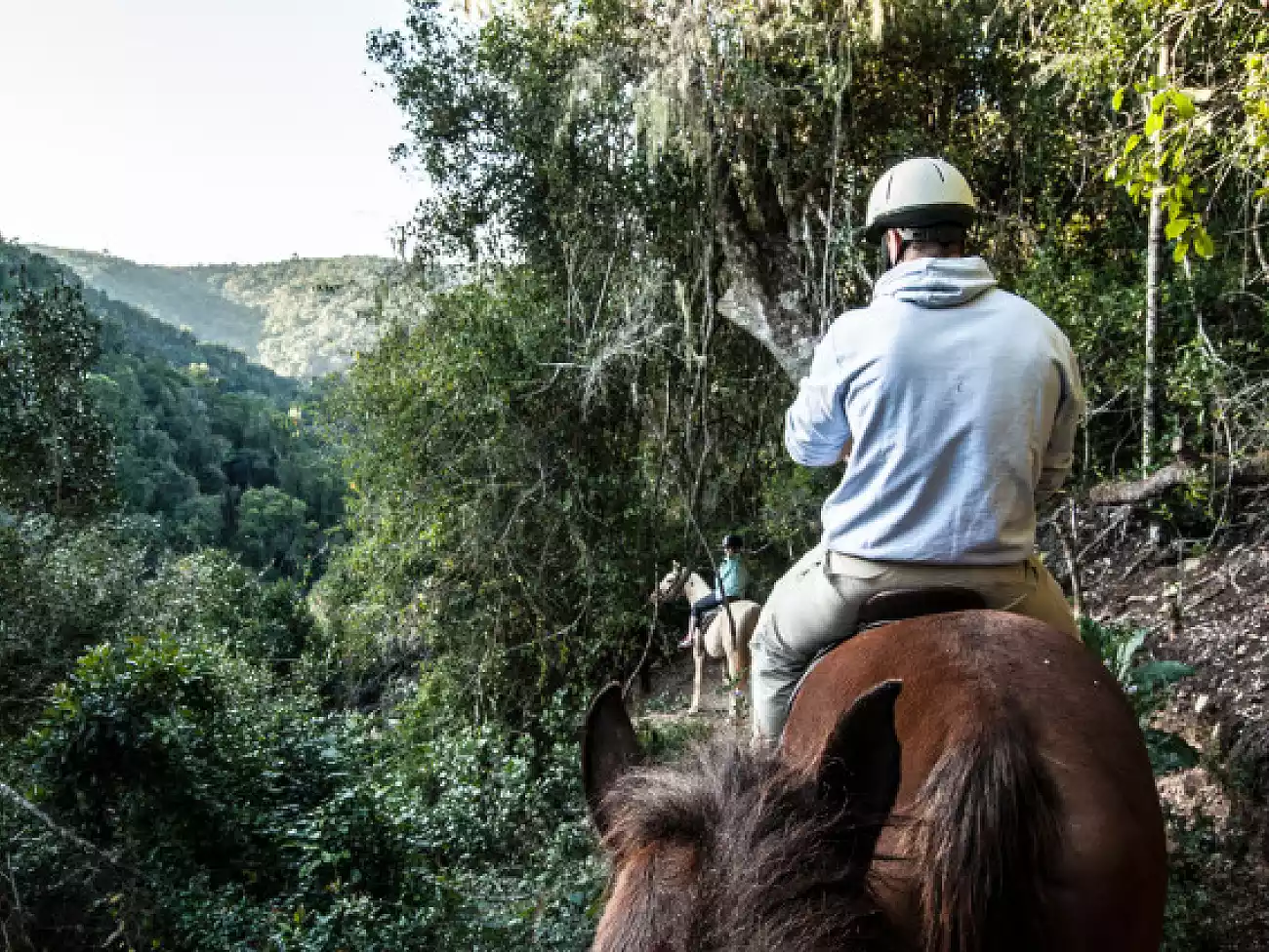 Horse Riding in Plettenberg Bay