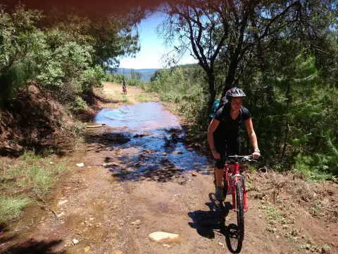 Hogsback Adventures - Mountain Biking