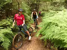 Mountain Biking