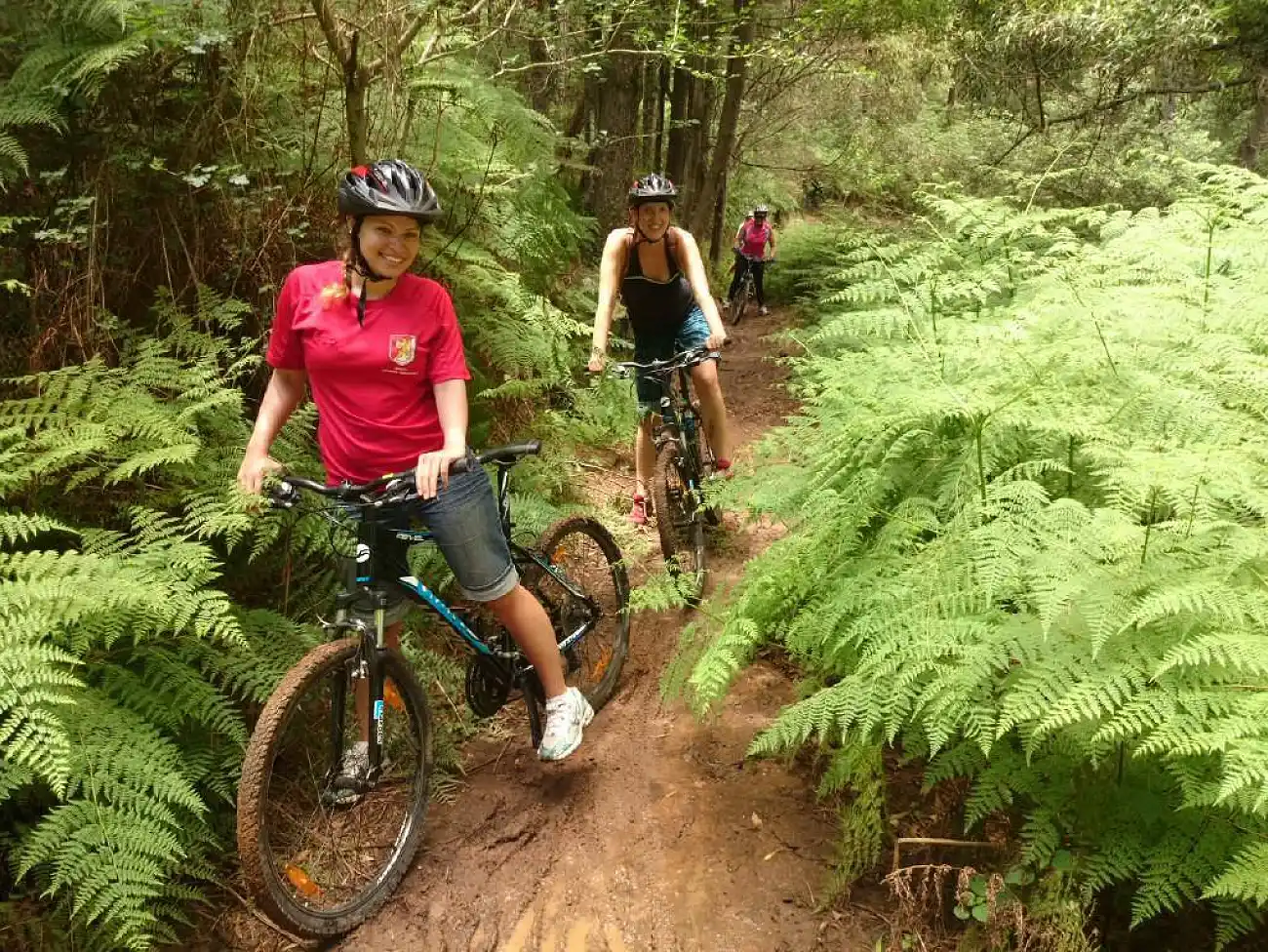 Mountain Biking in the Amatole Mountains