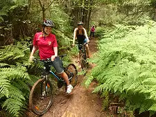 Mountain Biking