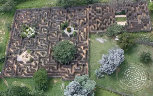 Honeydew Mazes - Maze