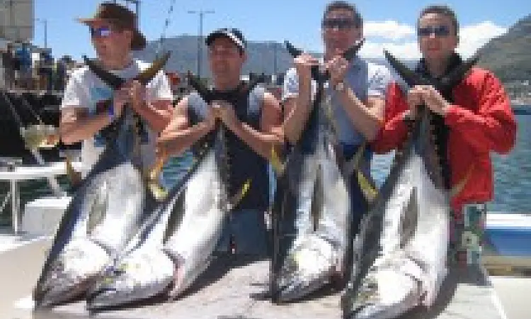 Four anglers standing proudly with their catch of four large tunas after a successful fishing trip.